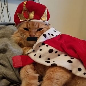 Meet your Posher, Peggy